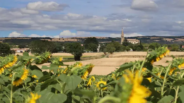 Carport Solaire 11 Installation carport solaire Peyrens