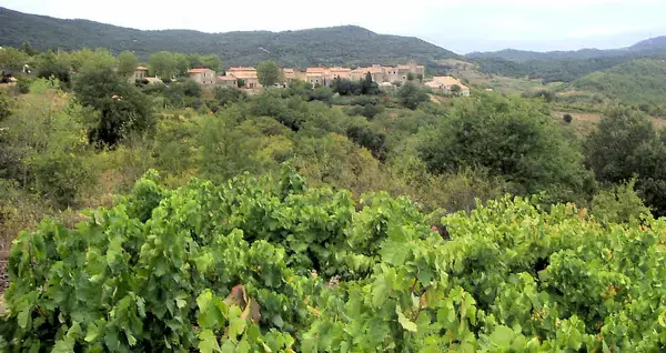 Carport Solaire 11 Installation carport solaire Quintillan